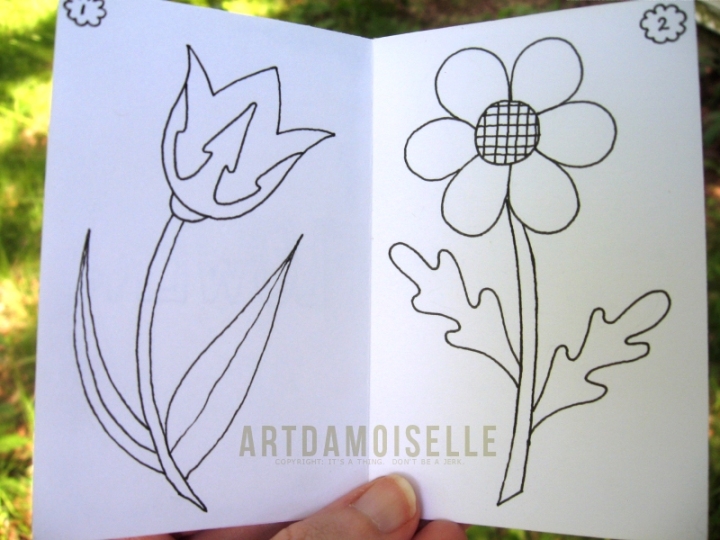 Open booklet showing simple line drawings of two flowers.
